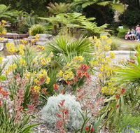 The Australian Botanic Garden Mount Annan - Darwin Tourism