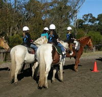 Darkes Forest Riding Ranch - Darwin Tourism