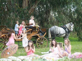 Classic Carriage Drives - Darwin Tourism 1