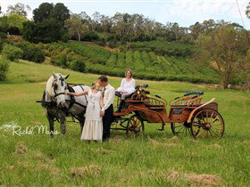 Classic Carriage Drives - Darwin Tourism 2
