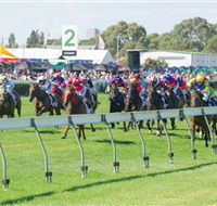 Morphettville Racecourse - Darwin Tourism