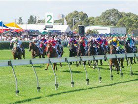 Morphettville Racecourse - Darwin Tourism 0