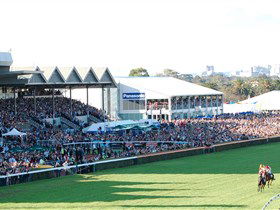 Morphettville Racecourse - Darwin Tourism 1