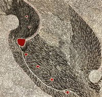 Marshall Arts - Darwin Tourism