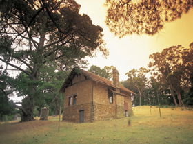 Heysen - The Cedars - Darwin Tourism 0