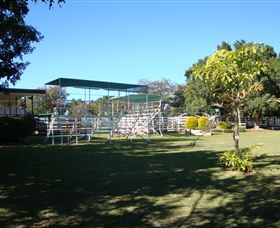 Blackall Saleyards - Darwin Tourism 1