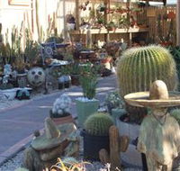 Cactus Creations - Darwin Tourism