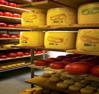 Alexandrina Cheese Company - Darwin Tourism