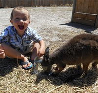 Animal Farm Goolwa - Darwin Tourism
