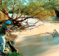 Charleville - Ward River Fishing Spot - Darwin Tourism