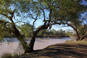 Charleville - Bakers Bend Warrego River Fishing Spot - Darwin Tourism 1