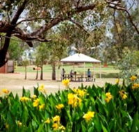 Charleville - Graham Andrews Parklands - Darwin Tourism