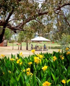 Charleville - Graham Andrews Parklands - Darwin Tourism 0