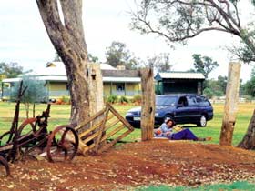 Charleville - Graham Andrews Parklands - Darwin Tourism 3
