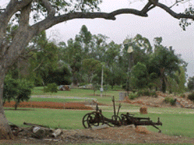 Charleville - Graham Andrews Parklands - Darwin Tourism 2