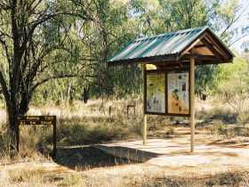 Charleville QLD Darwin Tourism