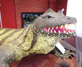 Wentworth Pioneer Museum - Darwin Tourism 1