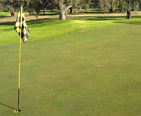 Wentworth Sporting Complex - Darwin Tourism 0