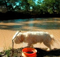 Charleville - 27 Mile Warrego River Fishing Spot - Darwin Tourism