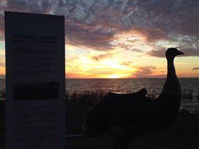 Meningie's Pelican Path - Yunti Ngopun Ngami - Darwin Tourism 2