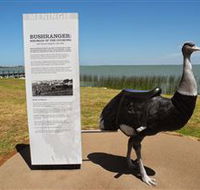 Birdman of the Coorong - Darwin Tourism