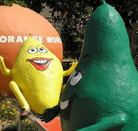 Orange World - Darwin Tourism