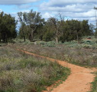Grasslands Nature trail - Darwin Tourism