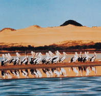 Coorong National Park - Darwin Tourism
