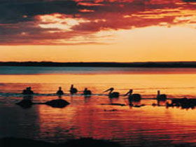 Coorong National Park - Darwin Tourism 1