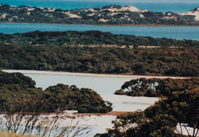 Coorong National Park - Darwin Tourism 2