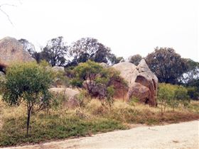 Mount Boothby Conservation Park - Darwin Tourism 1