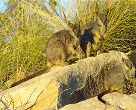 Towers Hill Lookout And Amphitheatre - Darwin Tourism 1