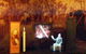 Venus Gold Battery - thumb 1