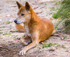 Territory Wildlife Park - Darwin Tourism 2