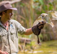 Territory Wildlife Park - Darwin Tourism