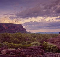Nature's Way - Darwin Tourism