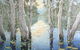 Framed Art Gallery - thumb 3
