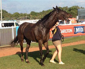 Darwin Turf Club - Darwin Tourism 2
