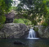 Paluma and Crystal Creek Rainforest - Darwin Tourism