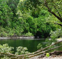 Broadwater Abergowrie State Forest - Darwin Tourism