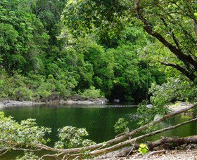 Broadwater, Abergowrie State Forest - Darwin Tourism 0