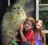 Australian Opal Centre - Darwin Tourism