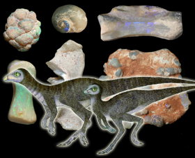 Australian Opal Centre - Darwin Tourism 2