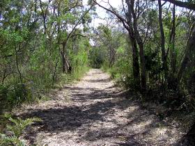 Lanky's Walk - Darwin Tourism 0