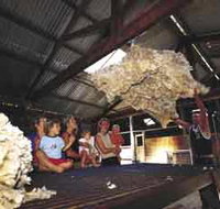 Shear Outback the Australian Shearers Hall of Fame - Darwin Tourism