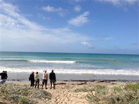 Beachport Surf Beach - Darwin Tourism 2