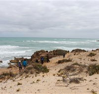 The Seaview Walking Trail - Darwin Tourism