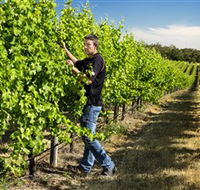 Patrick of Coonawarra - Darwin Tourism