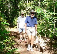 Wongabel State Forest - Darwin Tourism