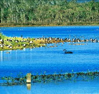 Hasties Swamp National Park - Darwin Tourism